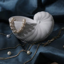White  Shell Bowl – Elegant Coastal-Inspired Jewelry & Trinket Holder Threadarrt