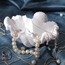 White Concrete Oyster Shell Bowl Threadarrt