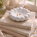Scallop Shell Trinket Tray